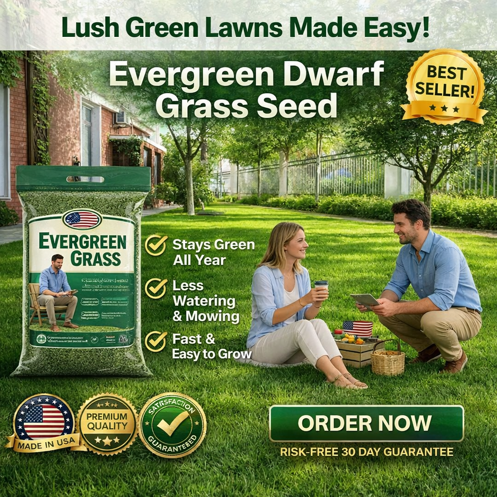 /69db83b00fccfd000aef472c/2026/04/16/product-img-69e11e12373c02bd69cc08d3.png